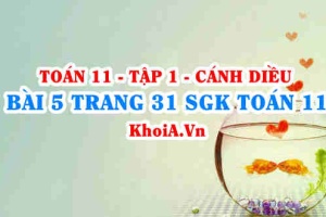 Bài 5 trang 31 SGK Toán 11 tập 1 Cánh Diều